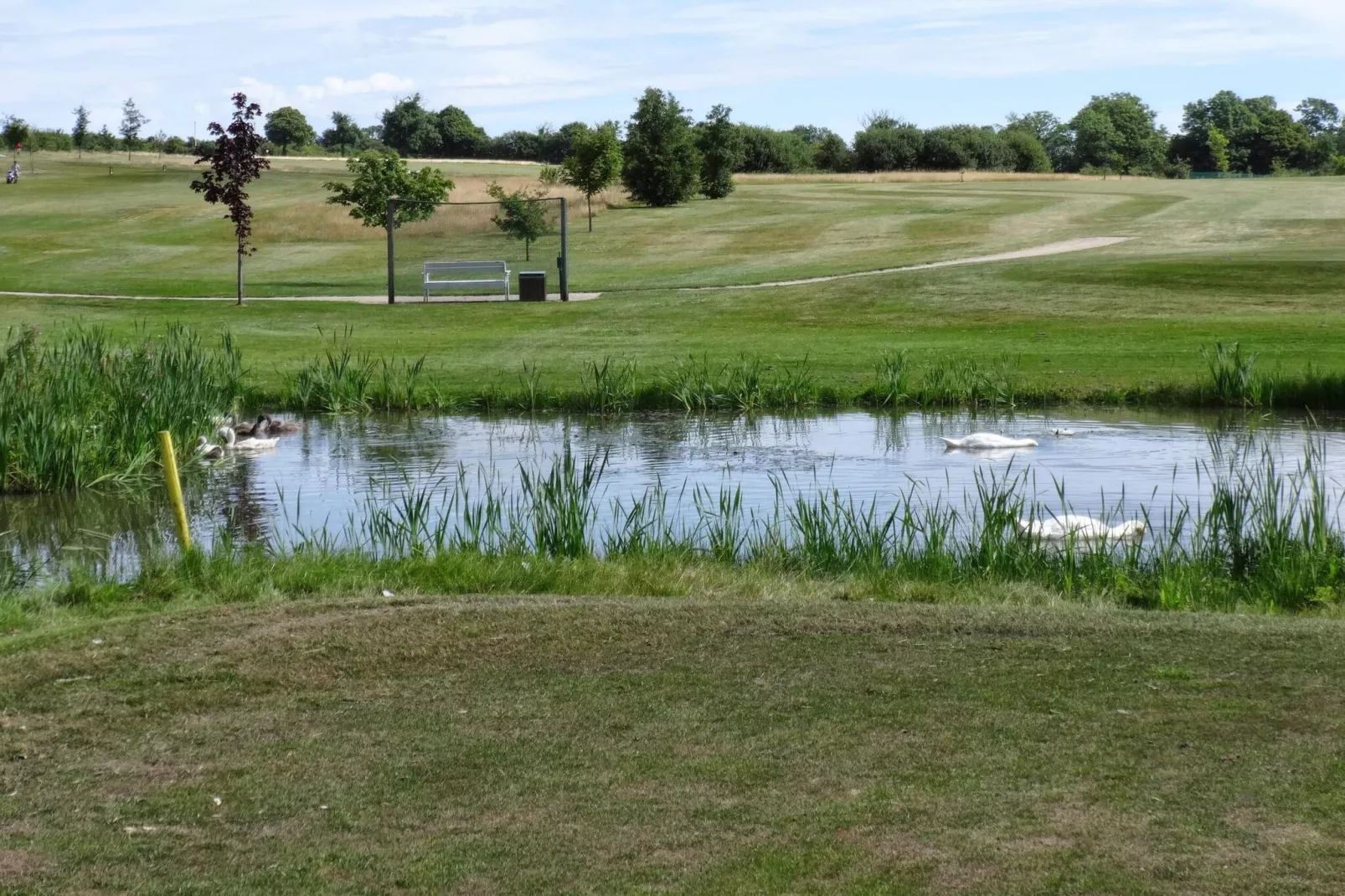 Vakantiehuis nabij het strand van Loddenhoj-Waterzicht