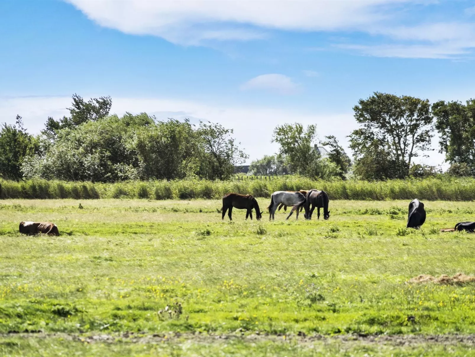 "Janin" - 400m from the sea-Buiten