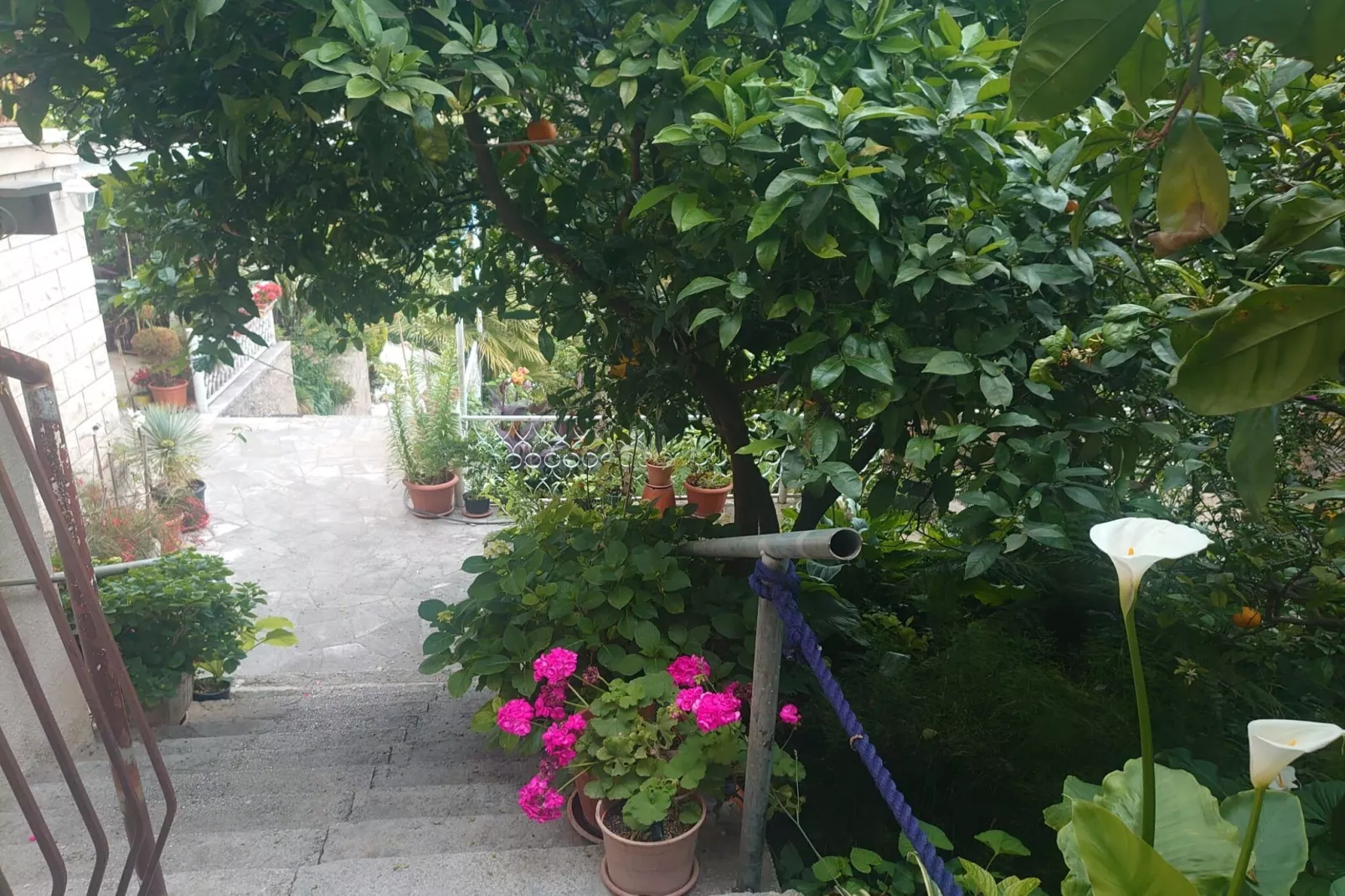 Villa Peragić - Triple Room with Balcony and Private External Bathroom-Uitzicht