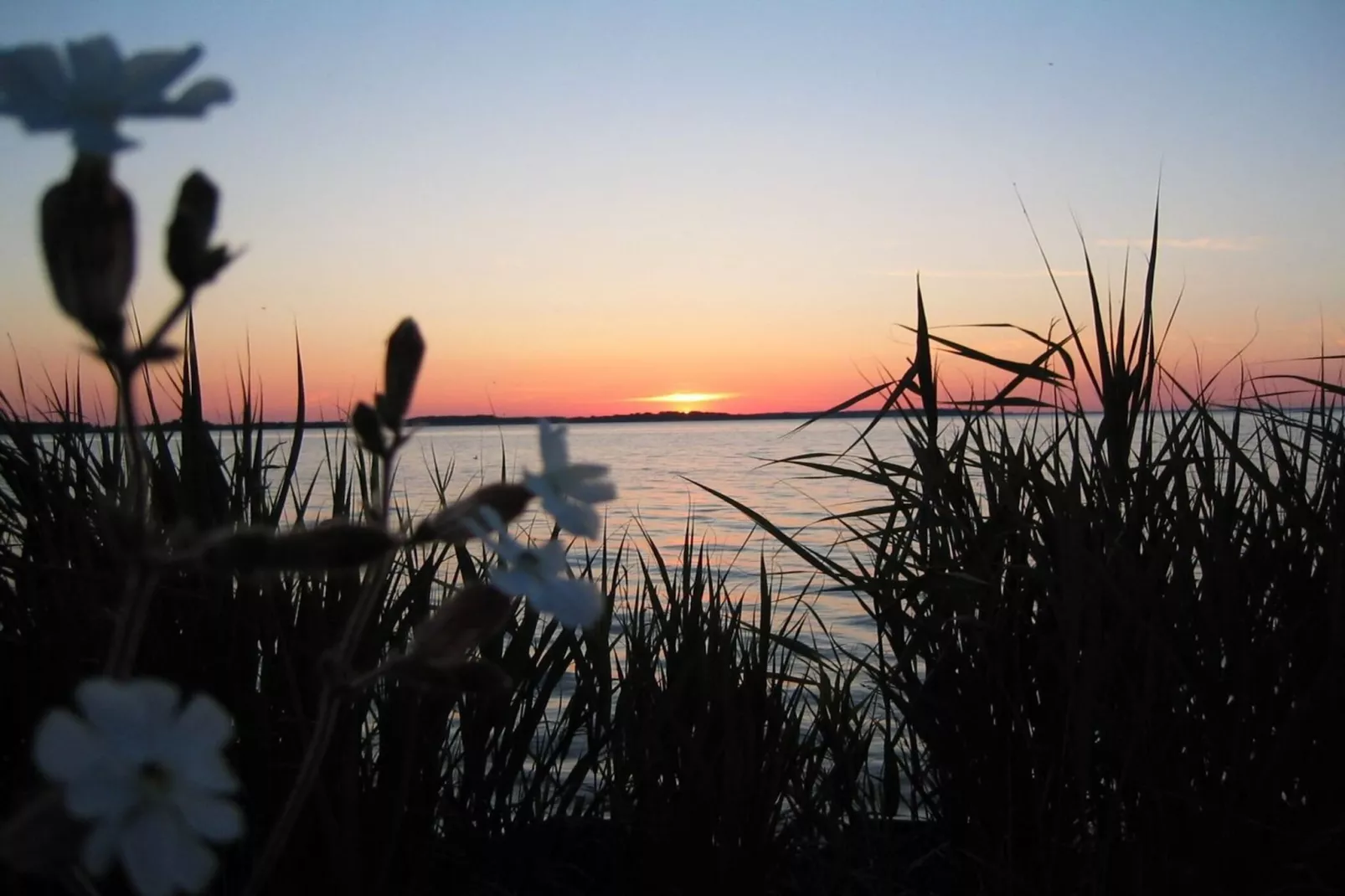 Mitteldeck 504-Gebieden zomer 20km