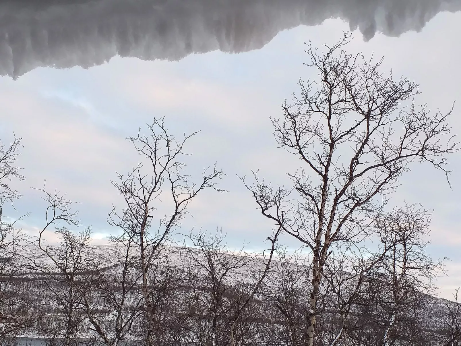 Willa kiiruna-Binnen