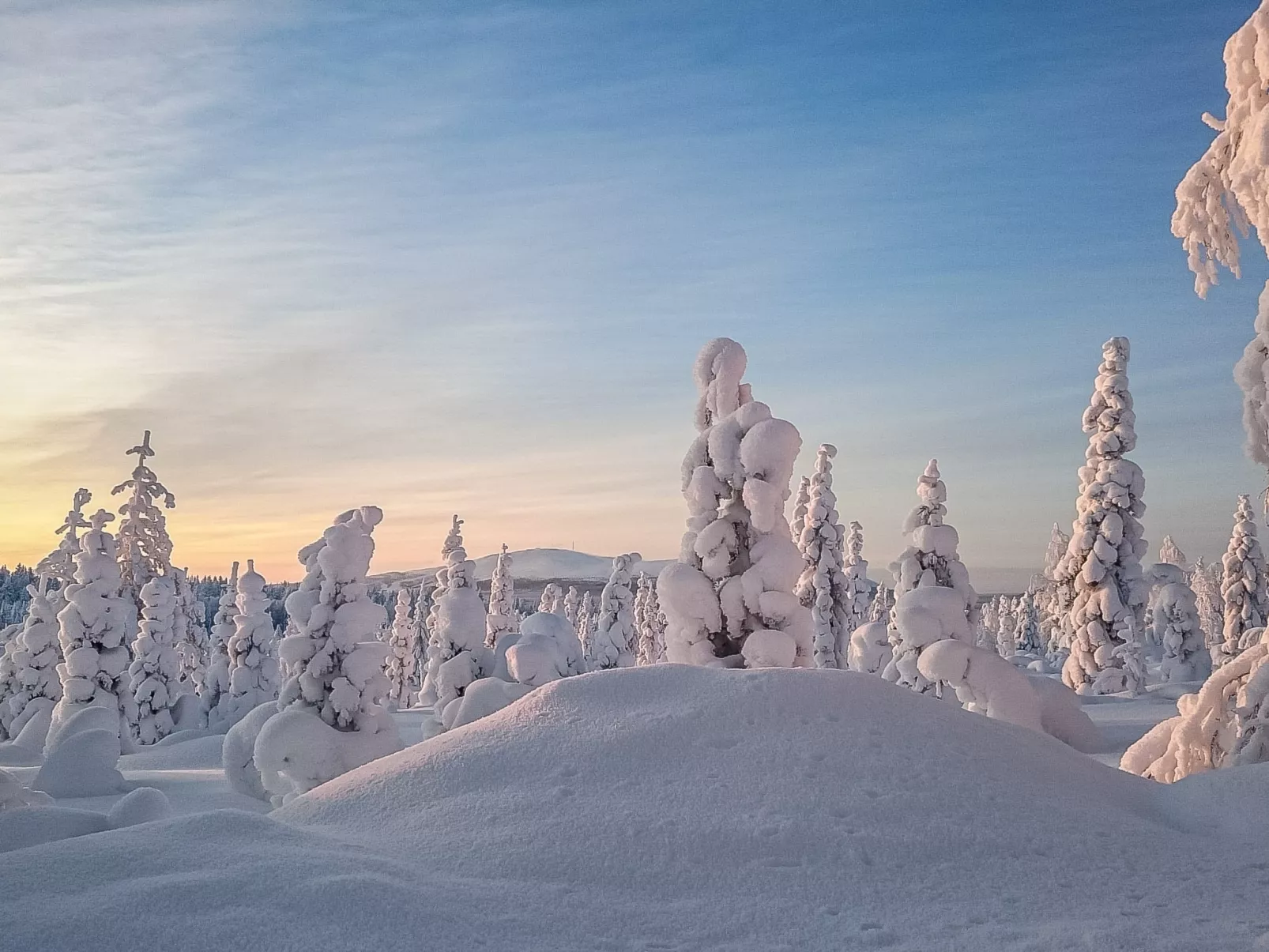 Yllästar 3 as 601-Binnen
