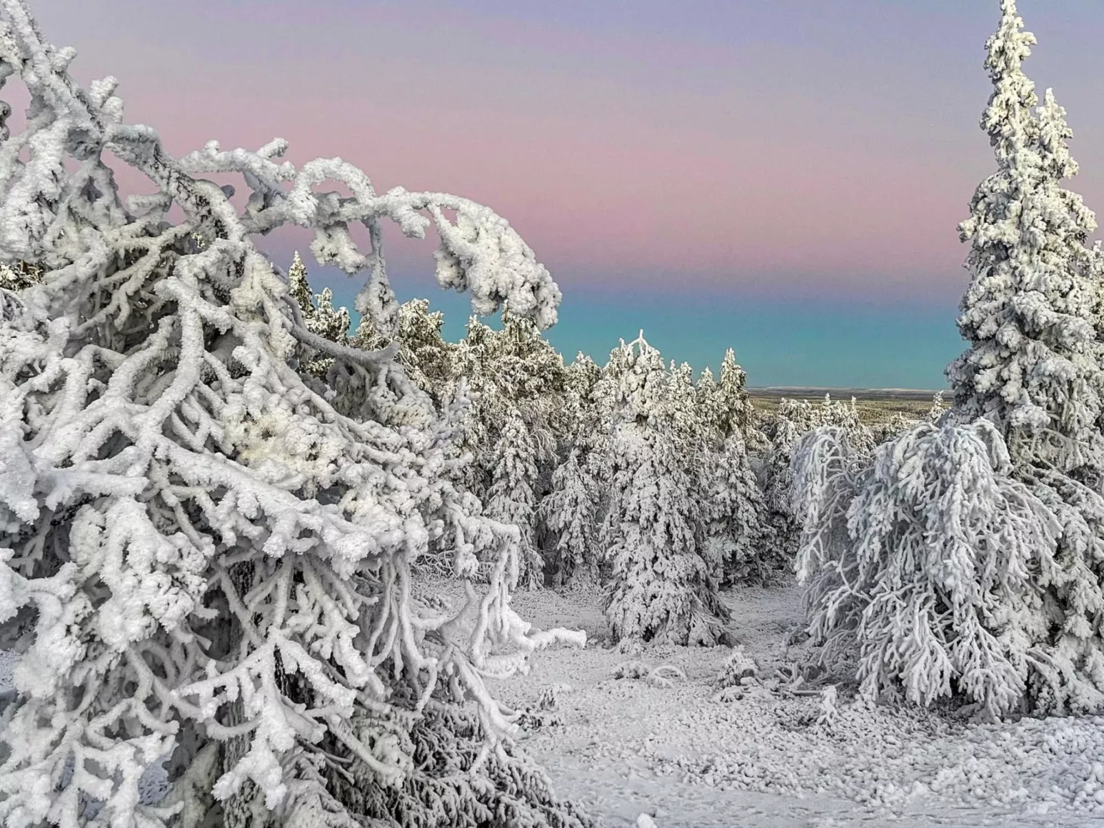 Vuosselinkulma 4-Binnen