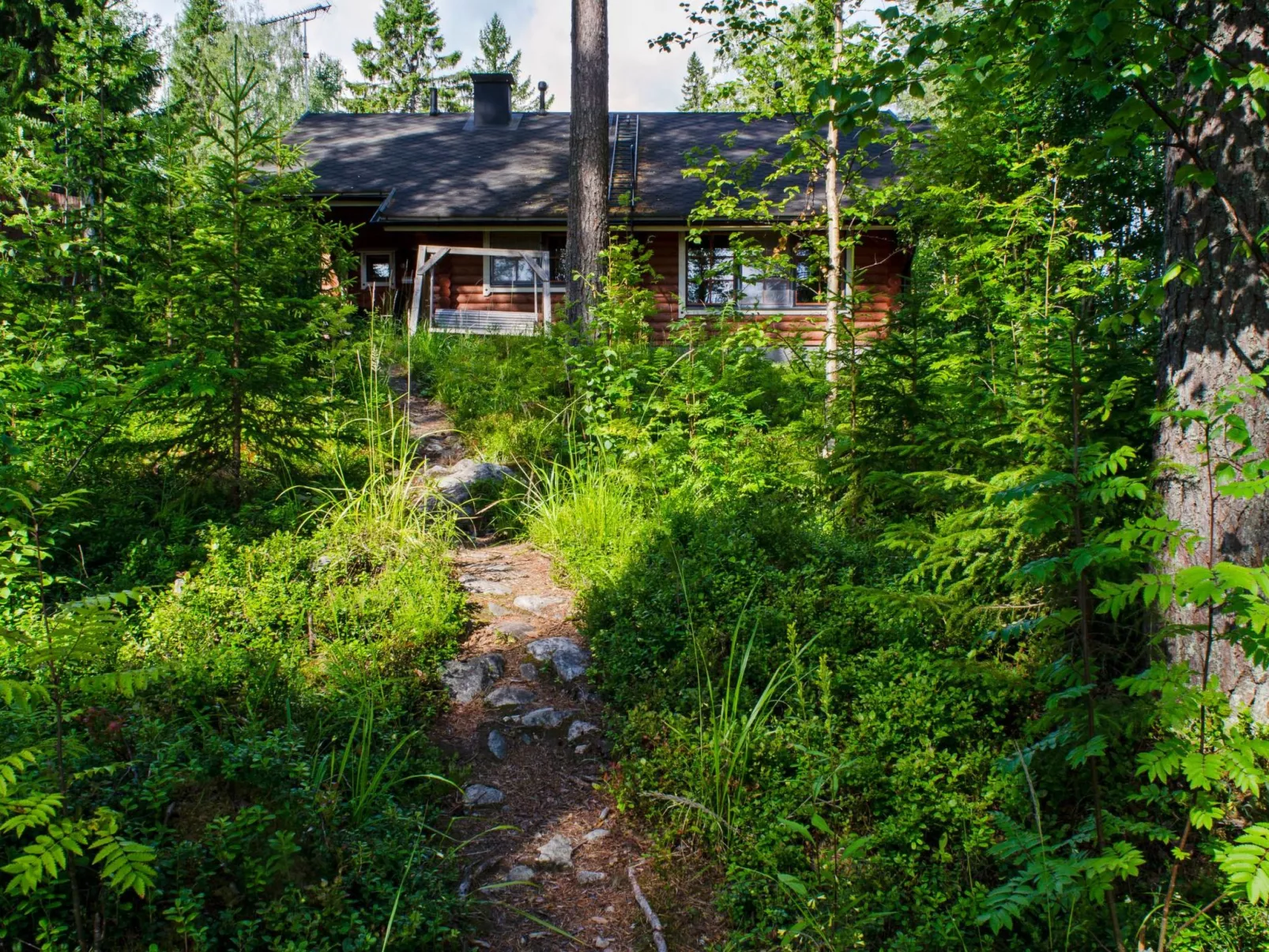 Amero purnu 3-Binnen