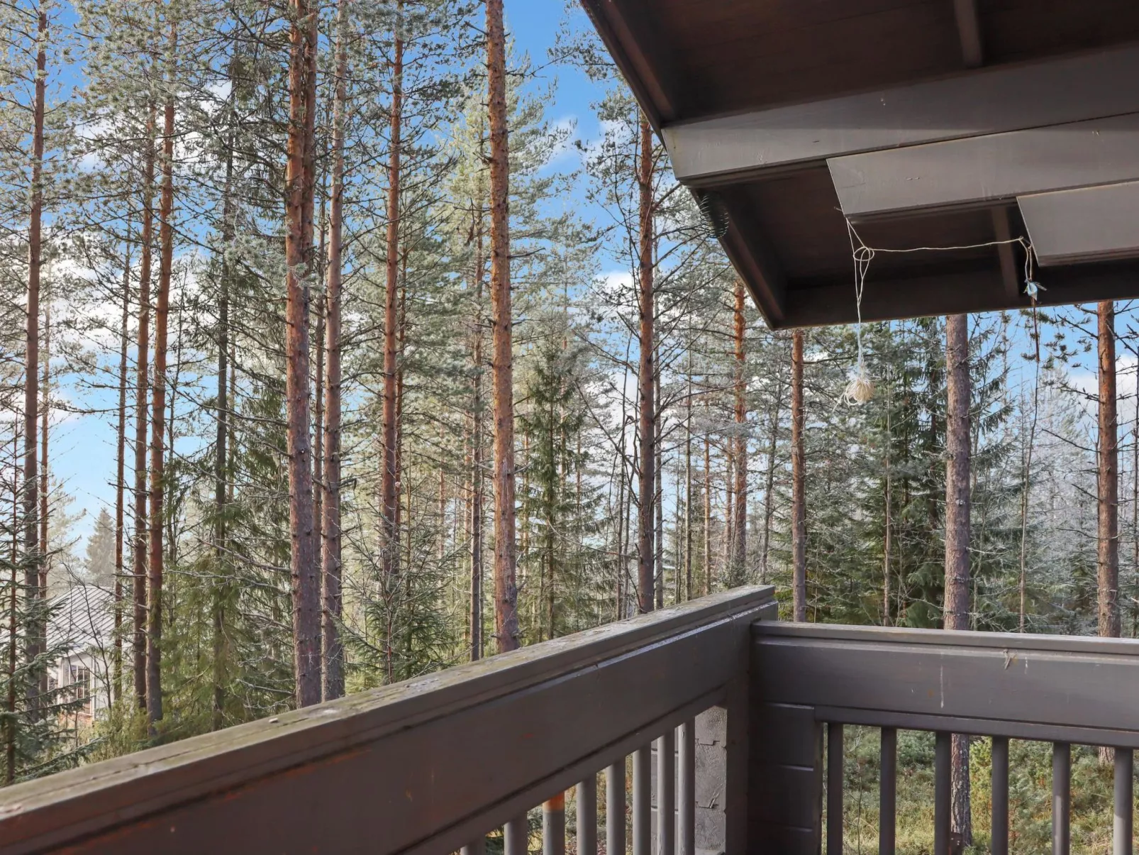 Alppitalo mökki-Binnen