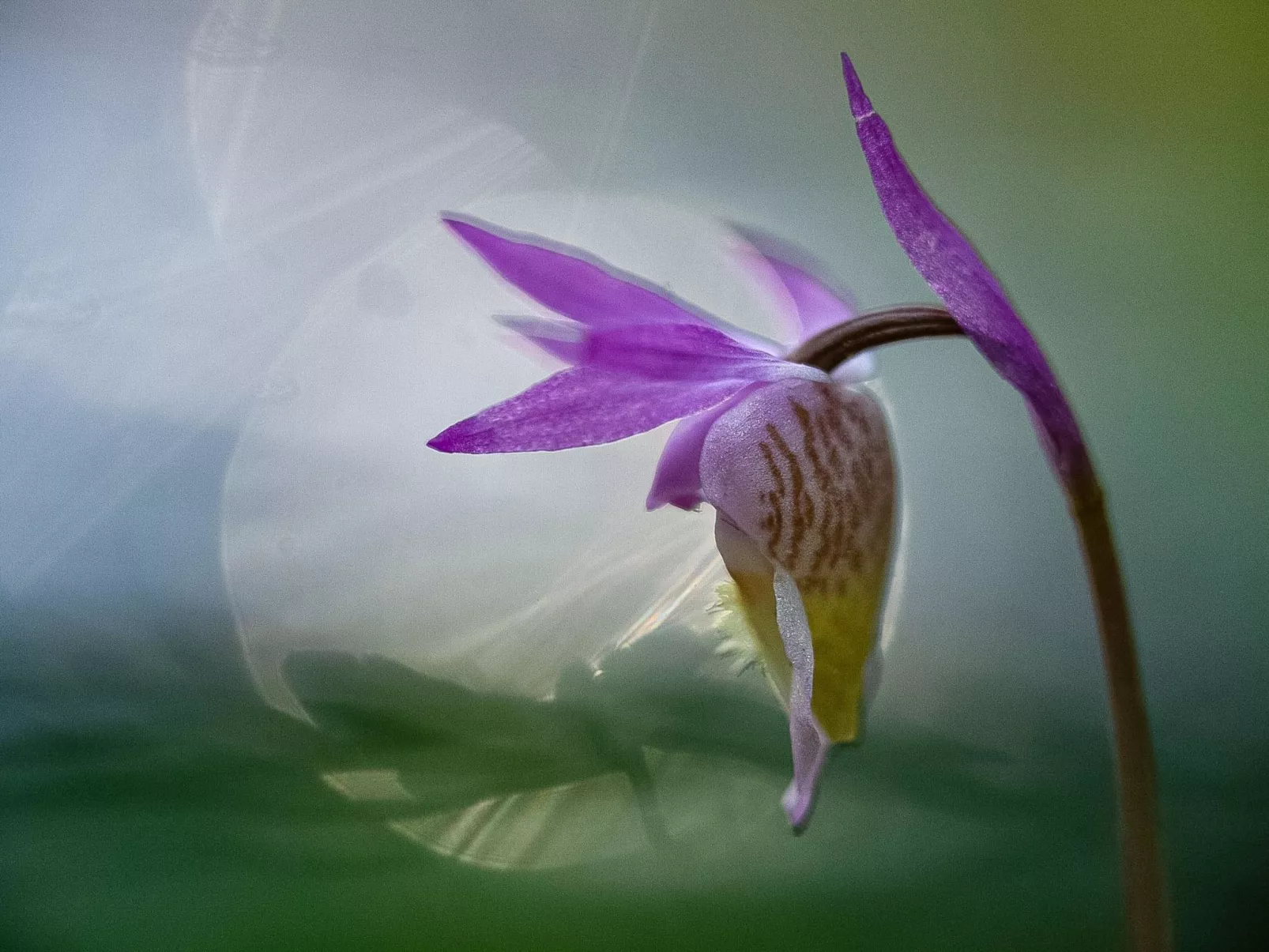 Jussis chalet b-Binnen