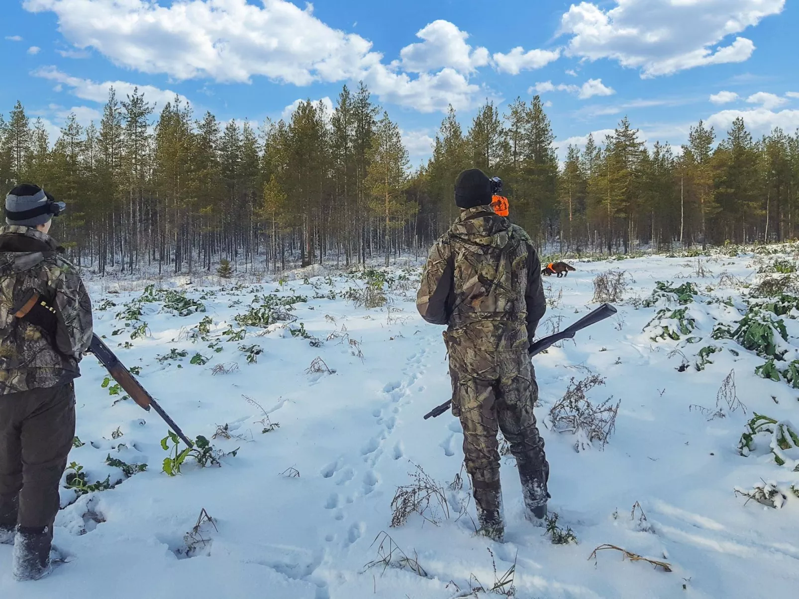 Backcountry base-Binnen