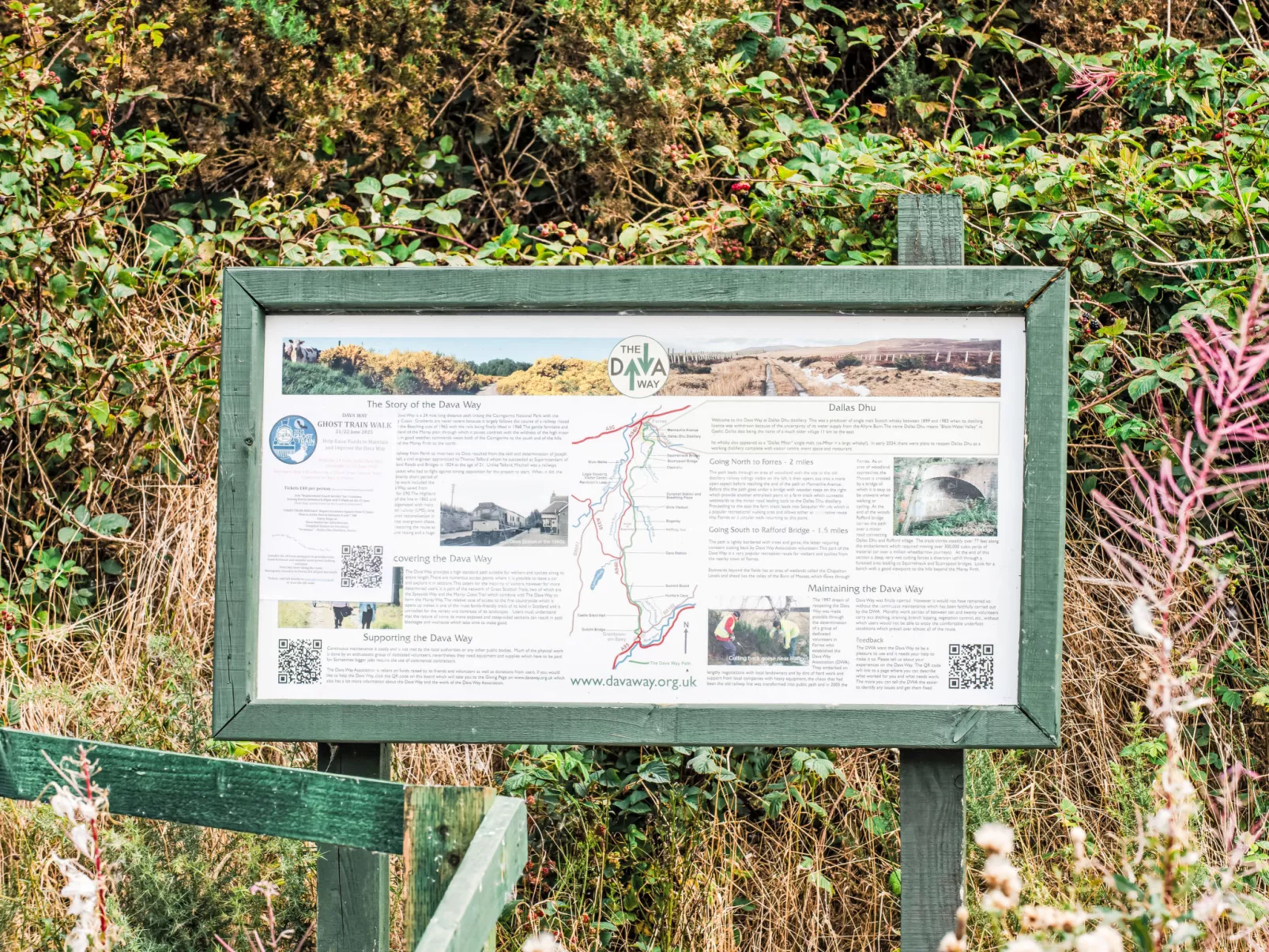 Varis Haven-Omgeving