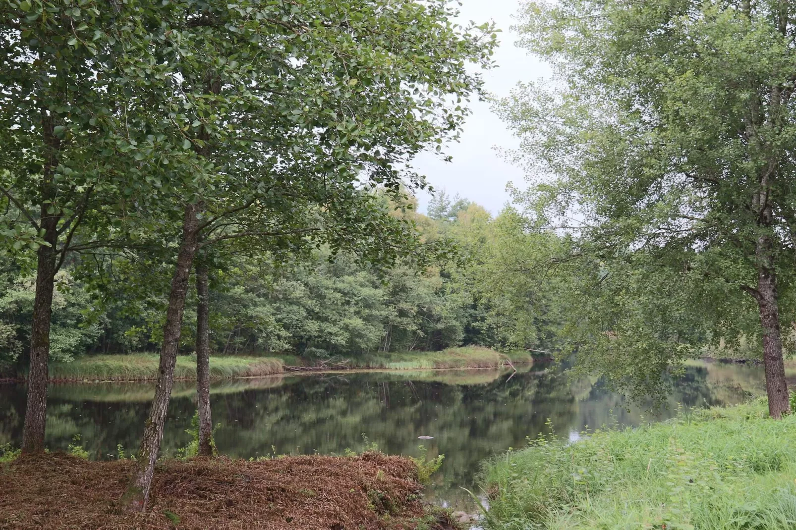 4 Personen vakantie huis in TORUP-Niet-getagd