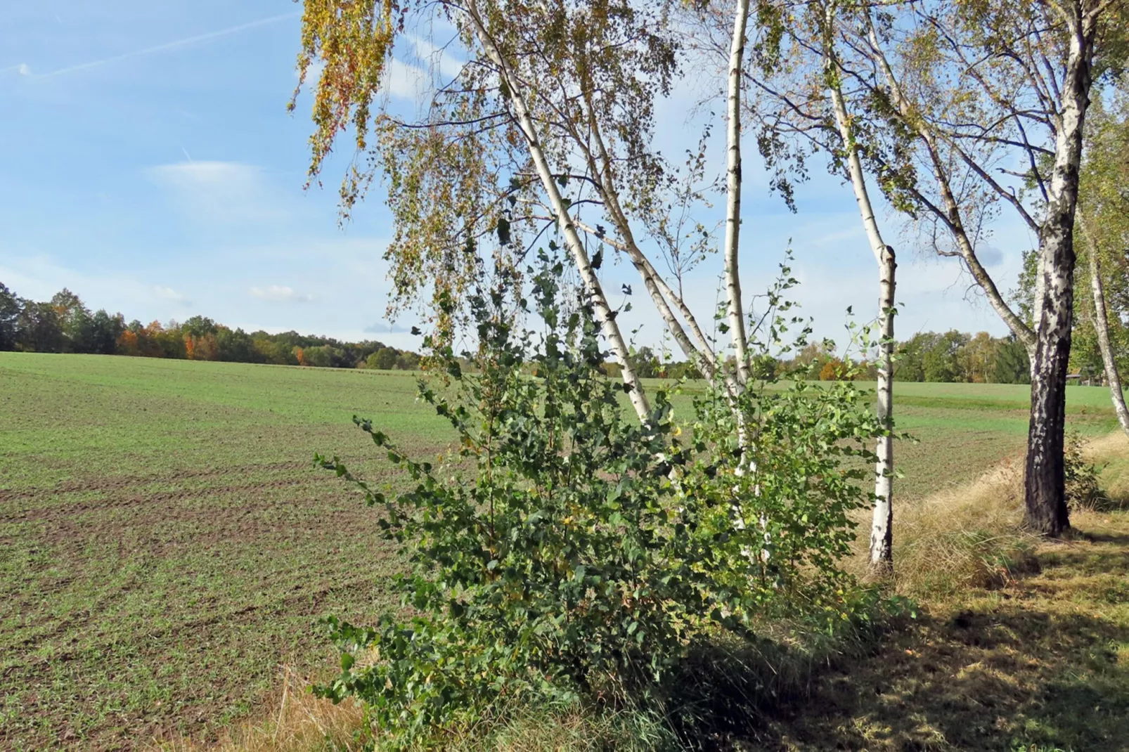 Ferienwohnung Freital - Dresden-Gebieden zomer 5km