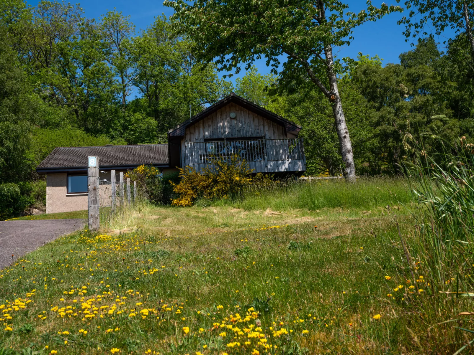 Achmony Number 8-Buiten