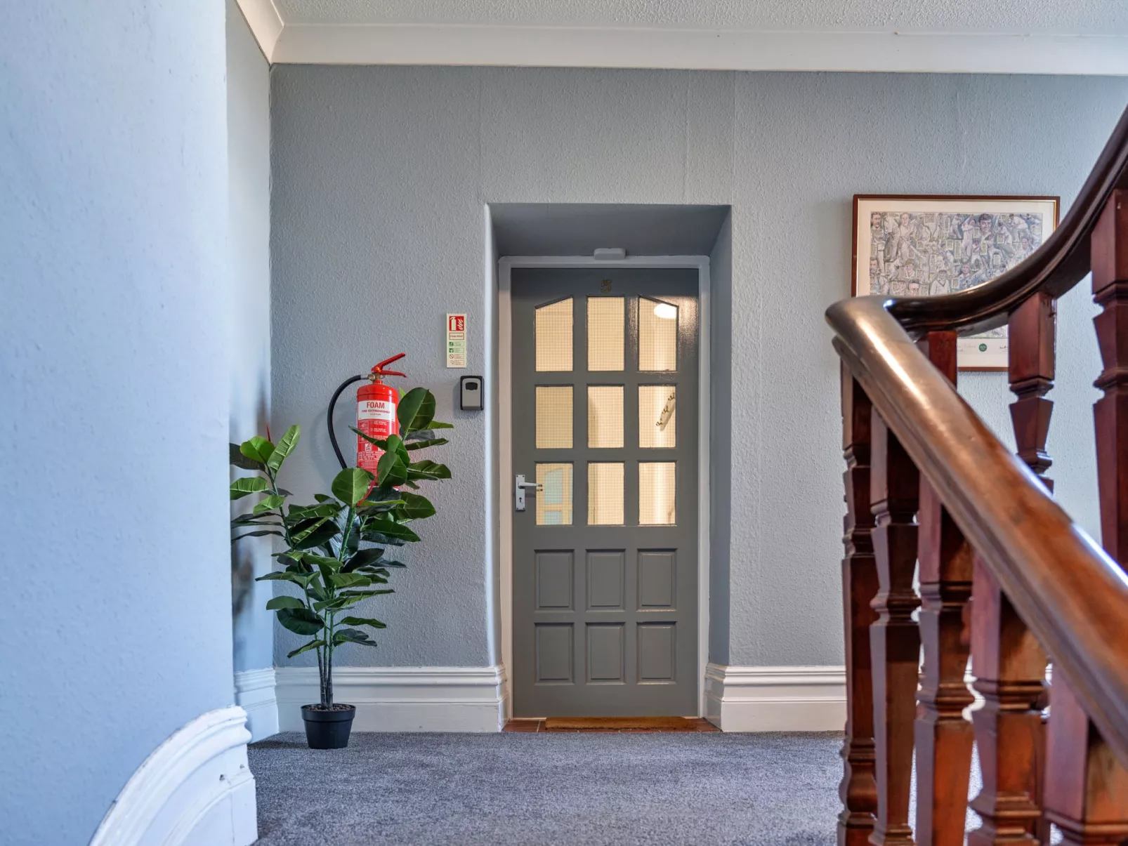 No. 5 Harlequin-Buiten