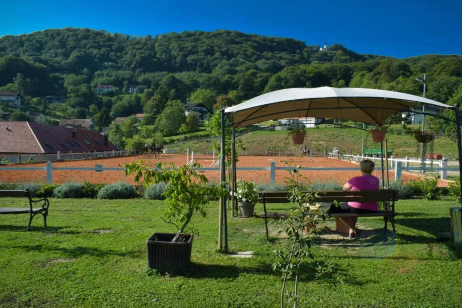 Zevnik Quiet Retreat with Stunning Views and Equestrian Activities - One Bedroom Apartment-Buitenlucht