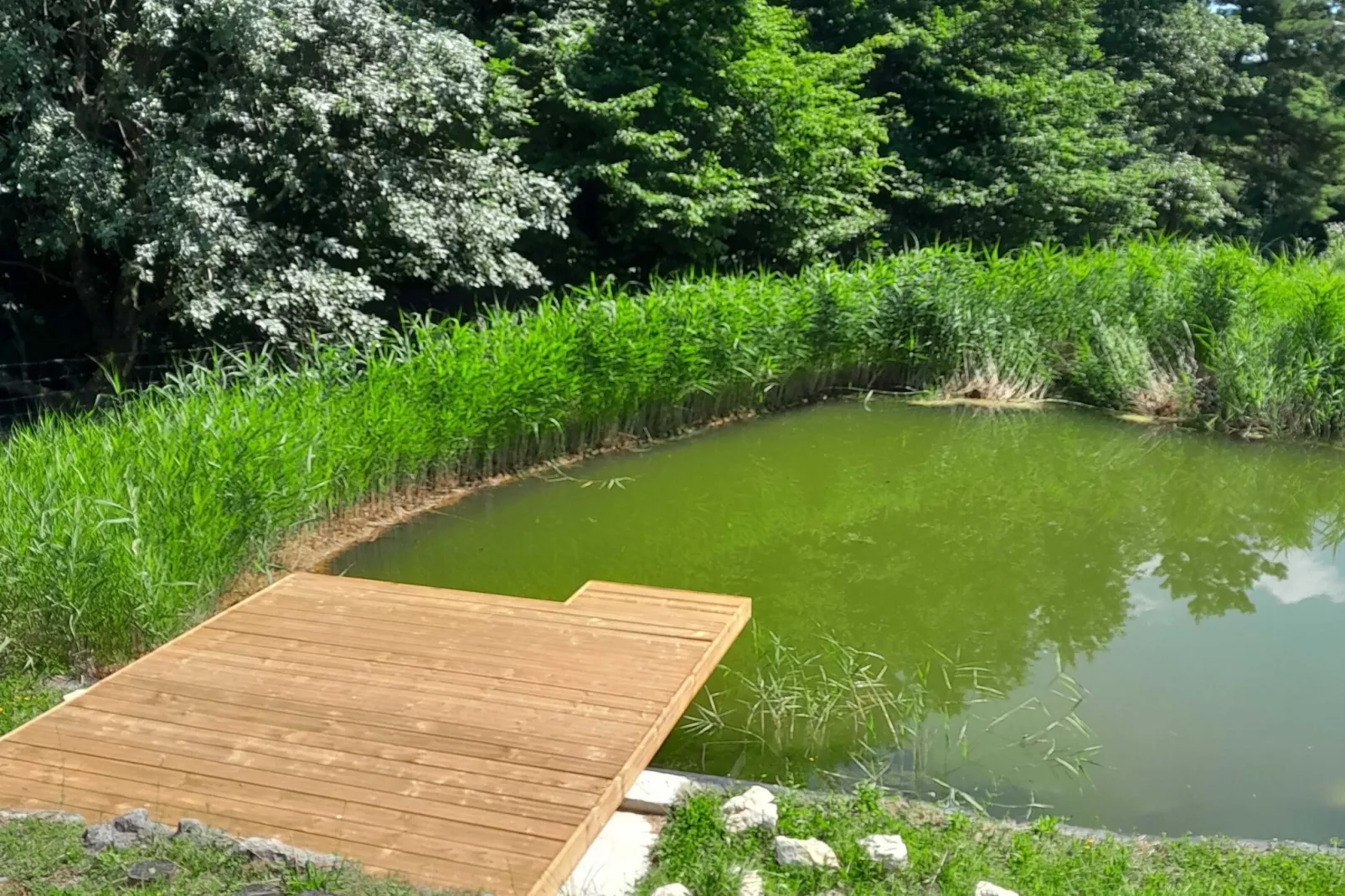 Hidden Authentic Haven Apartments - One Bedroom Apartment with Terrace-Buitenlucht