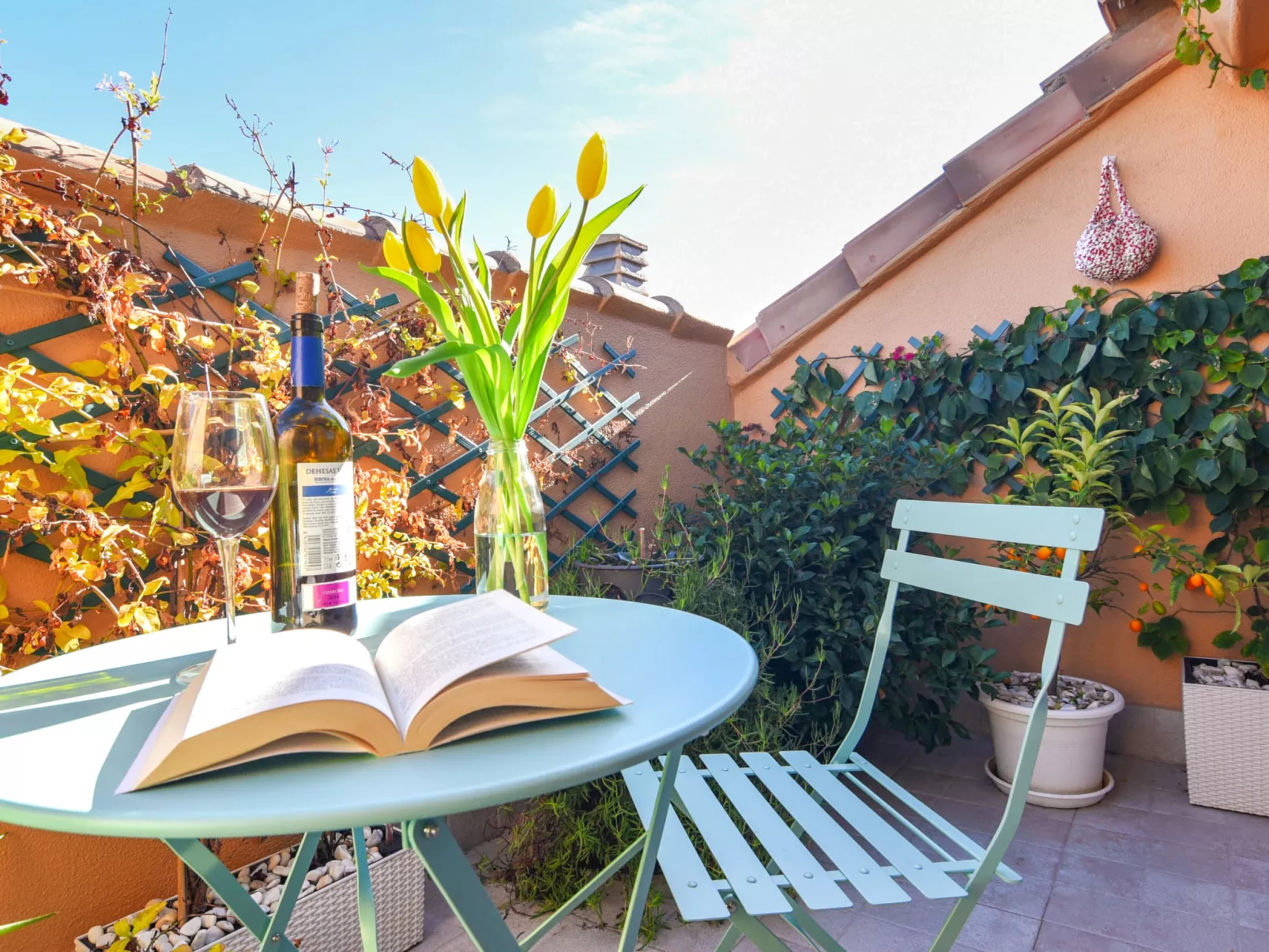 Moreras del Saladar-Buiten