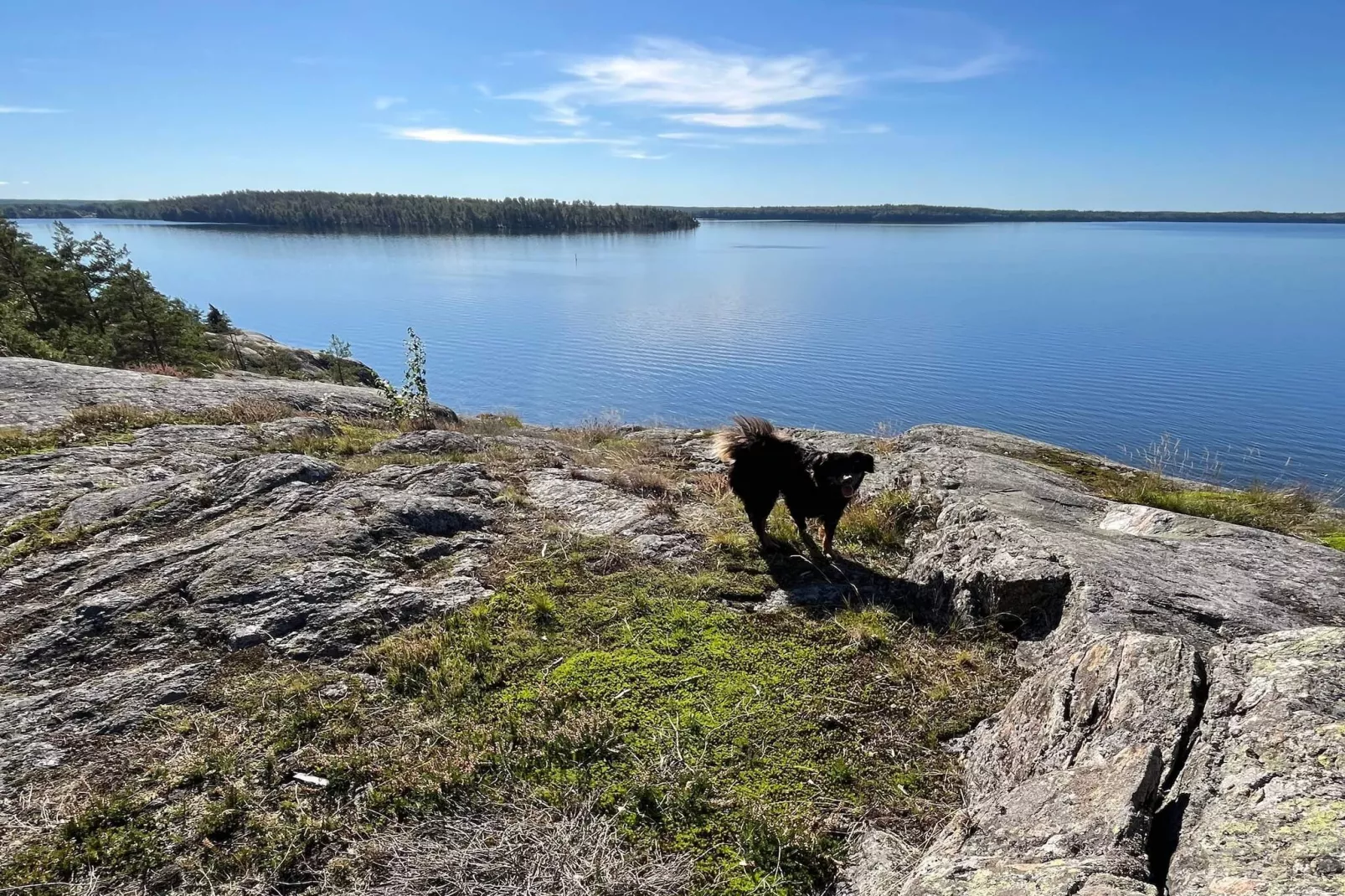 5 Personen vakantie huis in ADELSÖ-Niet-getagd