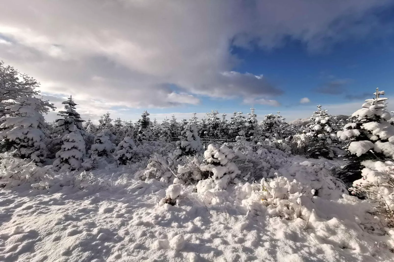 5 sterren vakantie huis in Hadsund-Buitenlucht