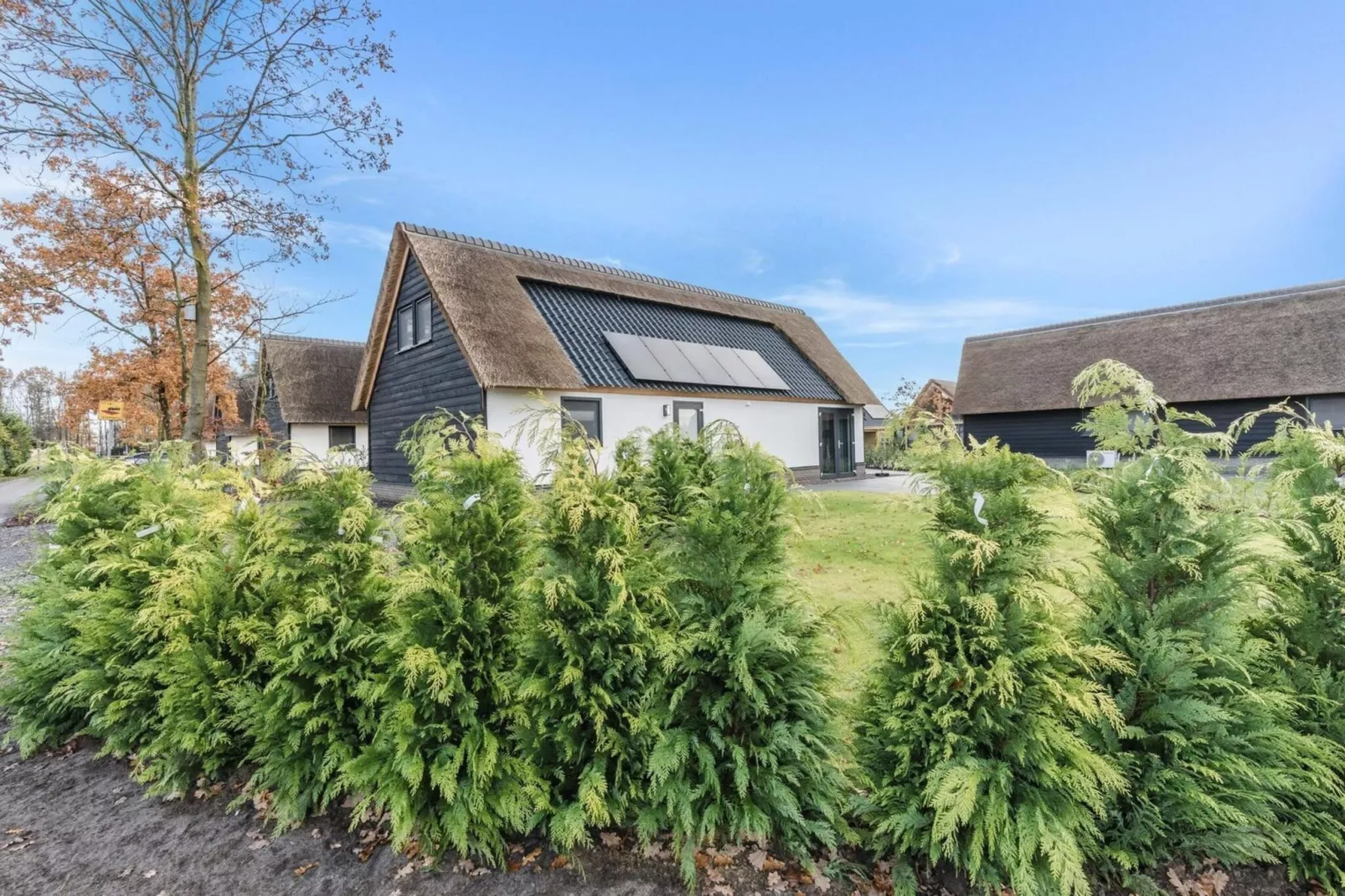 Farm Lodge 677-Gebieden zomer 1km