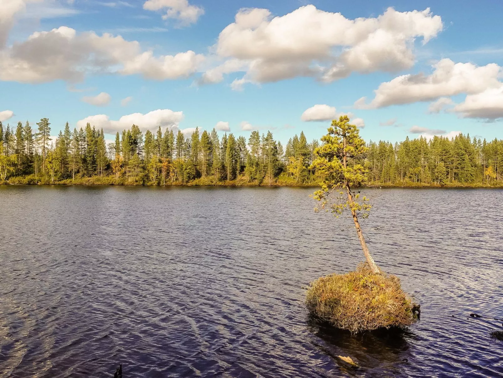 Kultaranta ii-Binnen