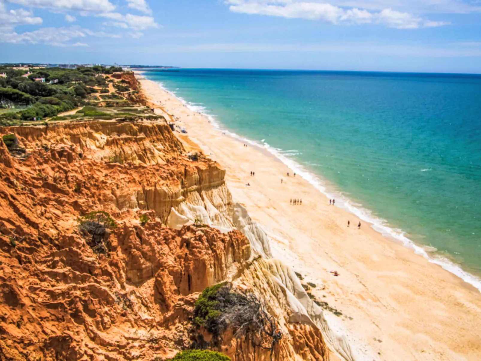 Medusa - Sunny Way-Buiten