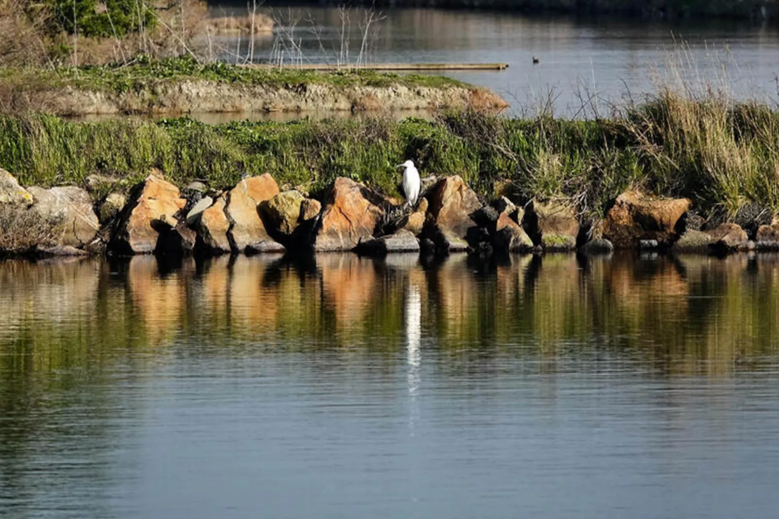 Maison à Saint-Gilles-Croix-de-Vie-Niet-getagd