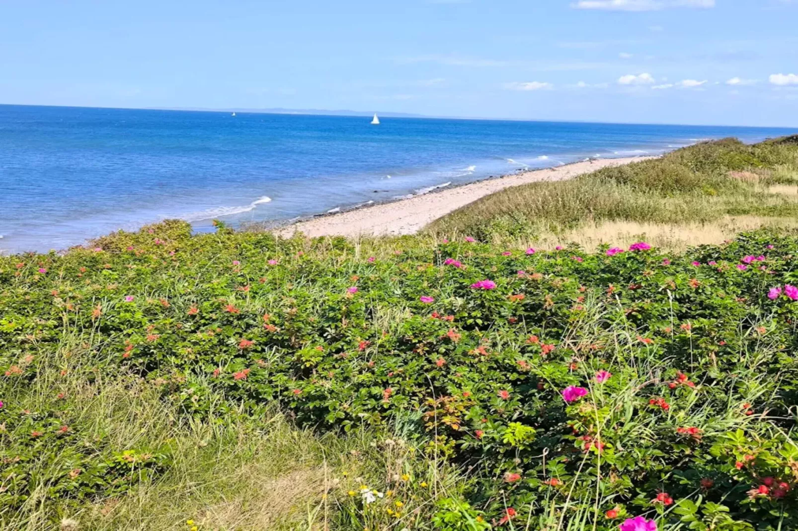 4 persoons vakantie huis in Gilleleje-By Traum-Waterzicht