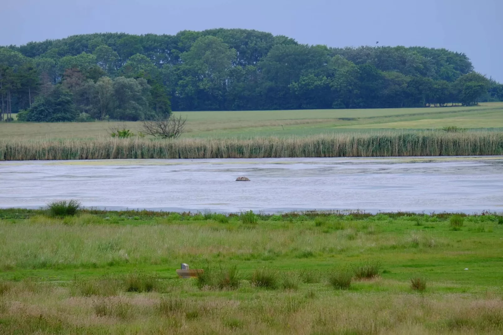 6 persoons vakantie huis in Væggerløse-By Traum-Waterzicht
