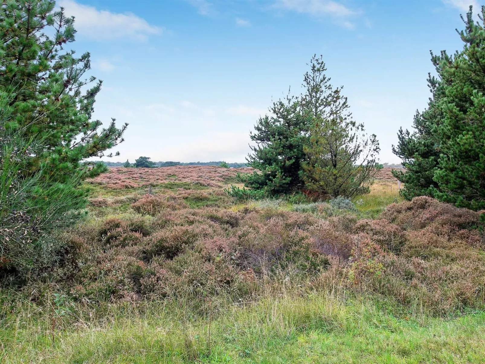 "Dorti" - 3km from the sea-Buiten