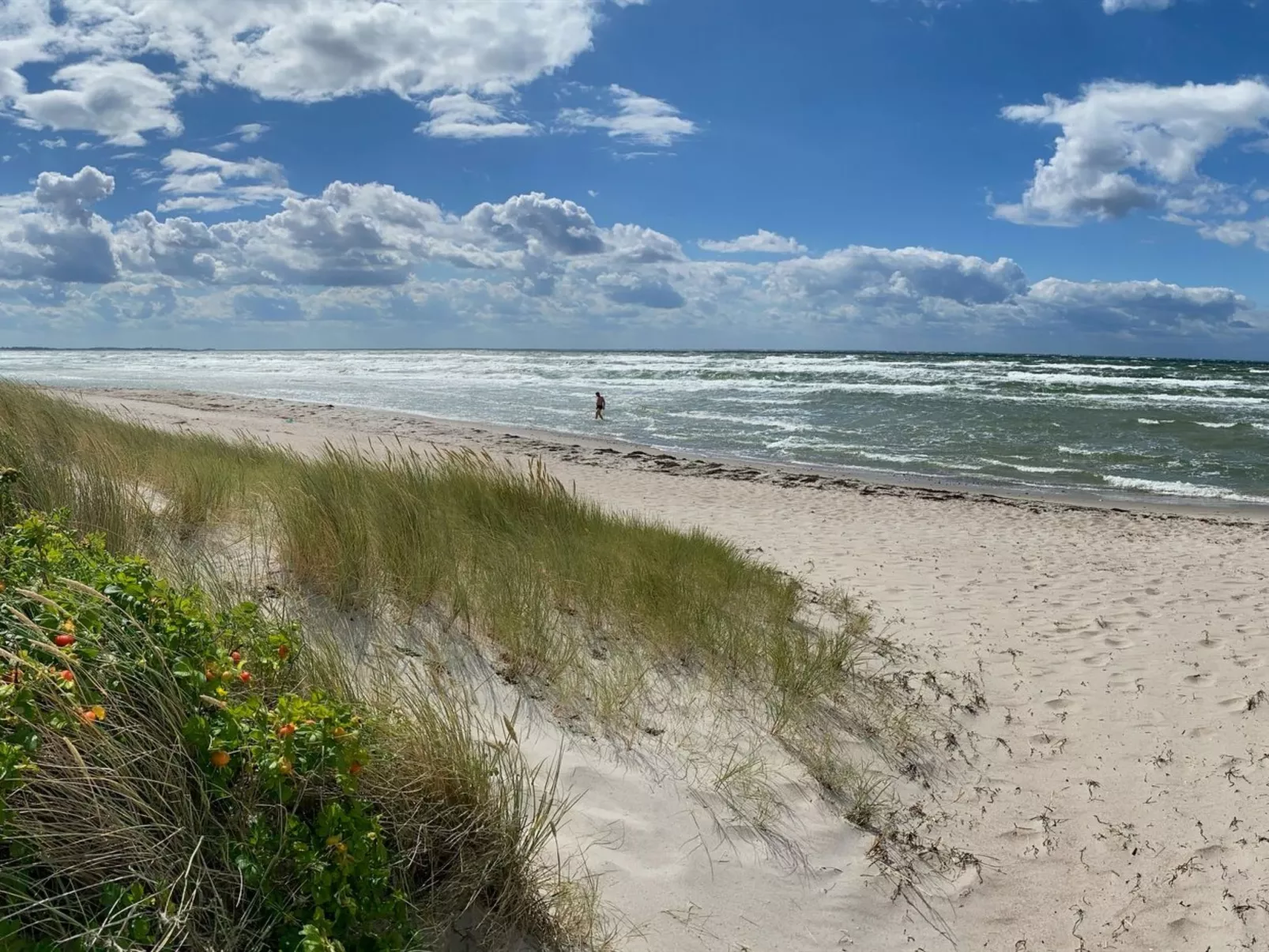 "Wiger" - 150m from the sea-Buiten