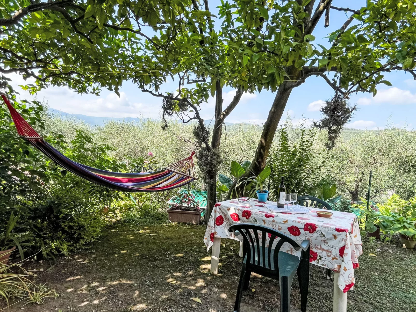 Elisa (DOL127)-Buiten