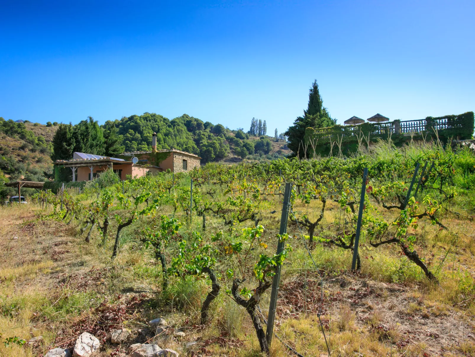 El Cerrillo - Cerro Negro-Buiten