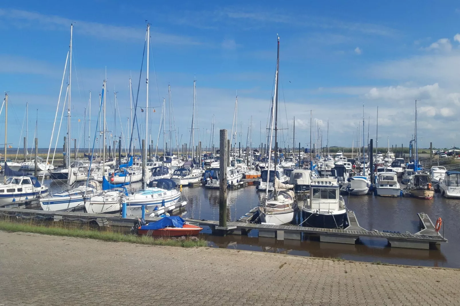 Ferienhaus Seeschwalbe-Gebieden zomer 5km