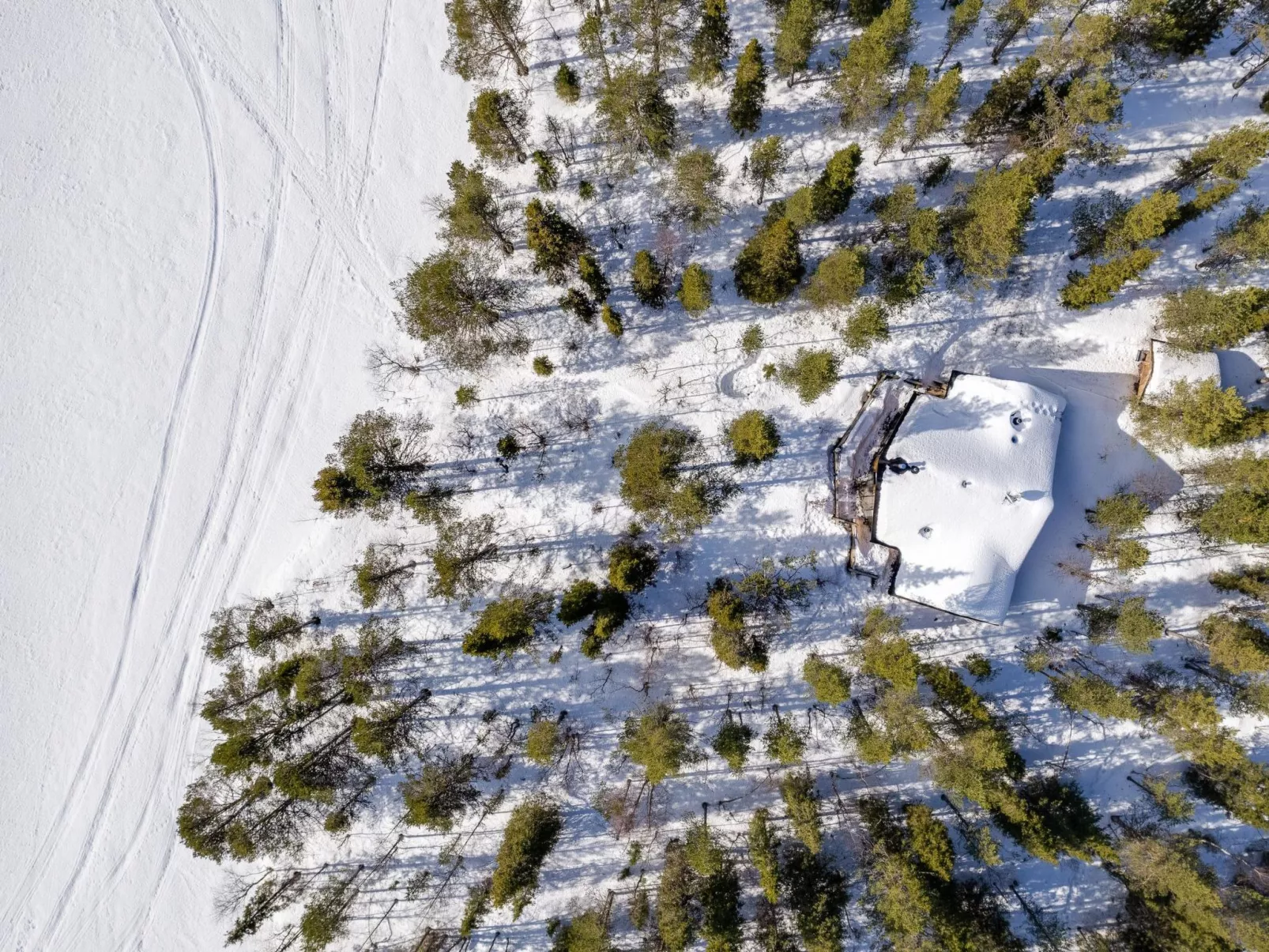 Lappi dream house-Binnen