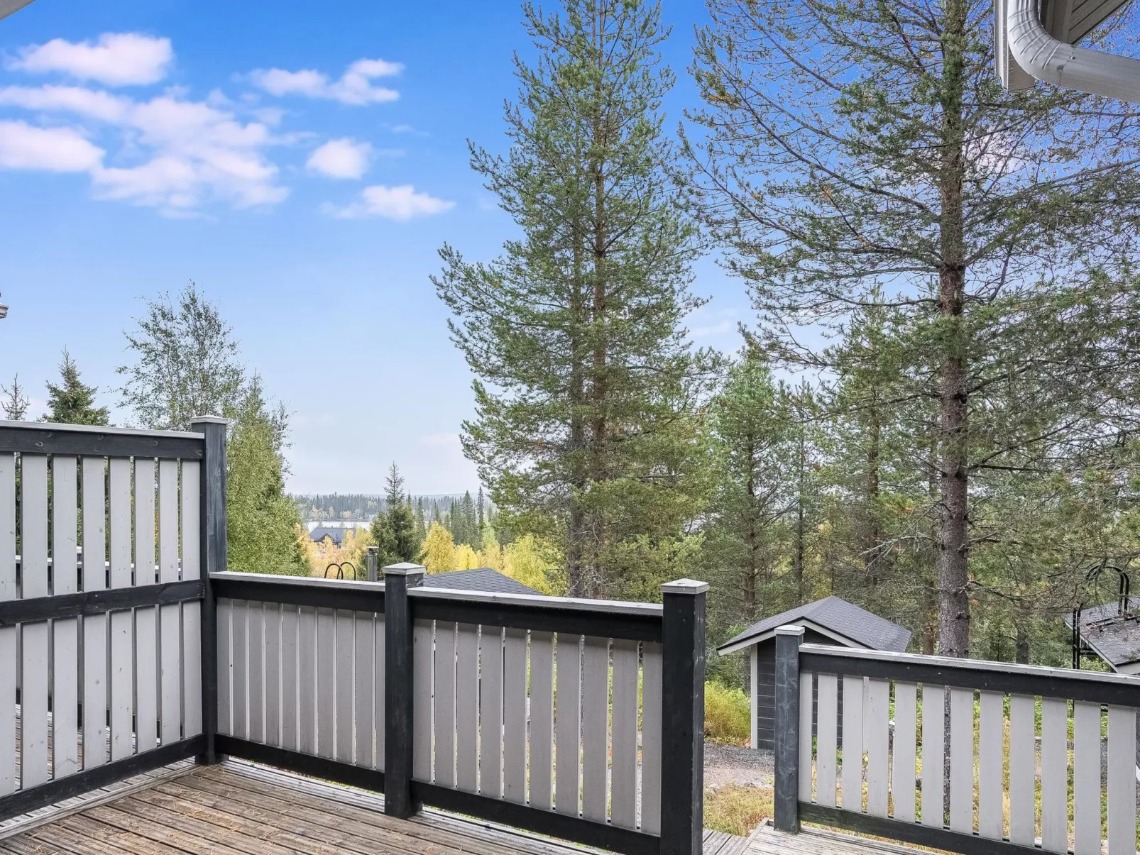 Rukanloisto b-Binnen