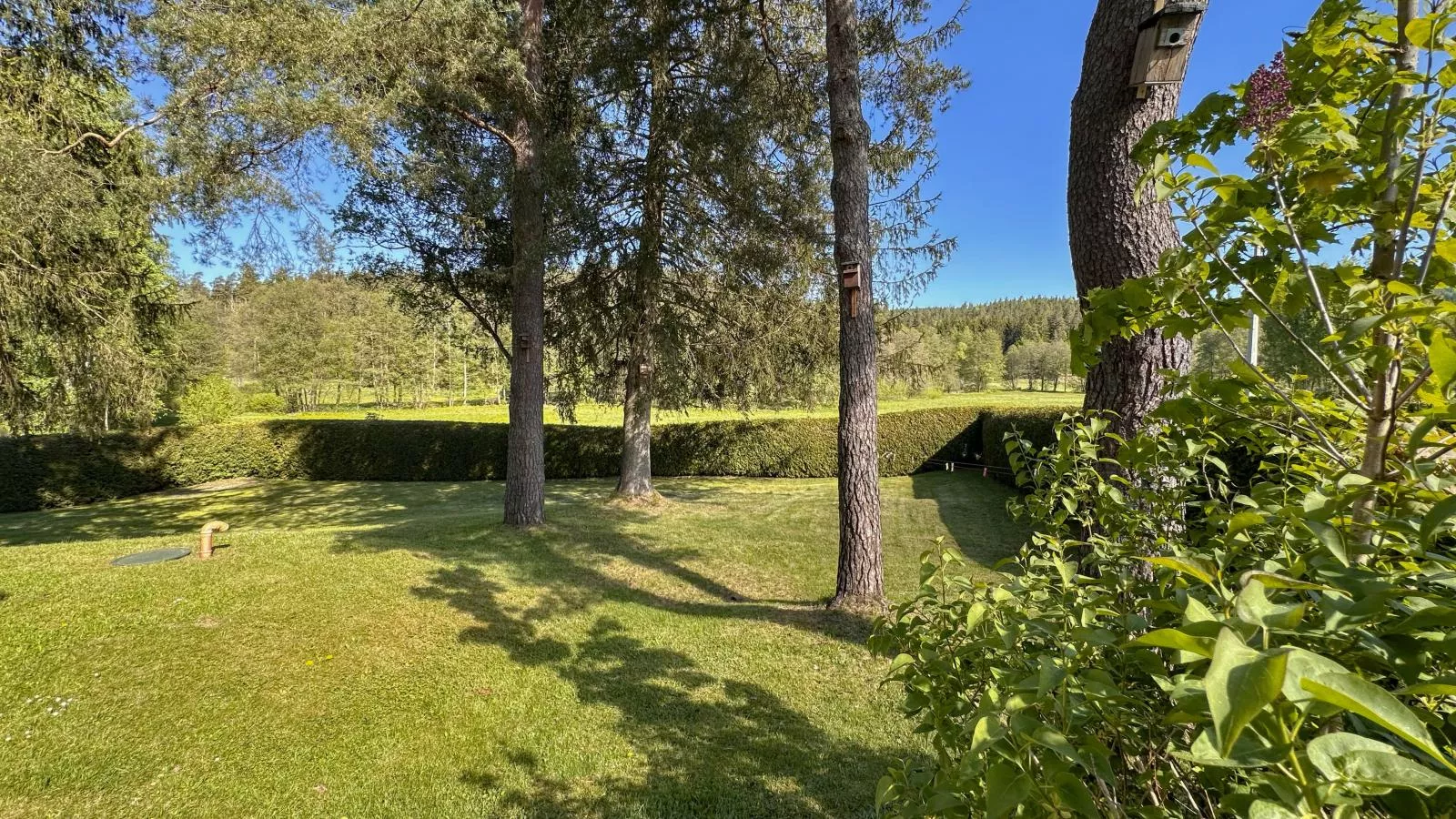 Rehberg Hütte-Tuinen zomer