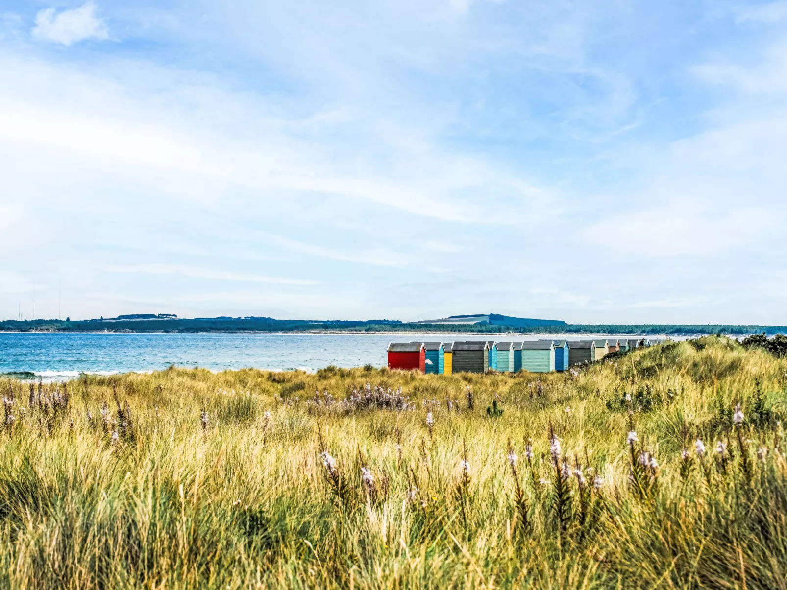 Varis Haven-Omgeving