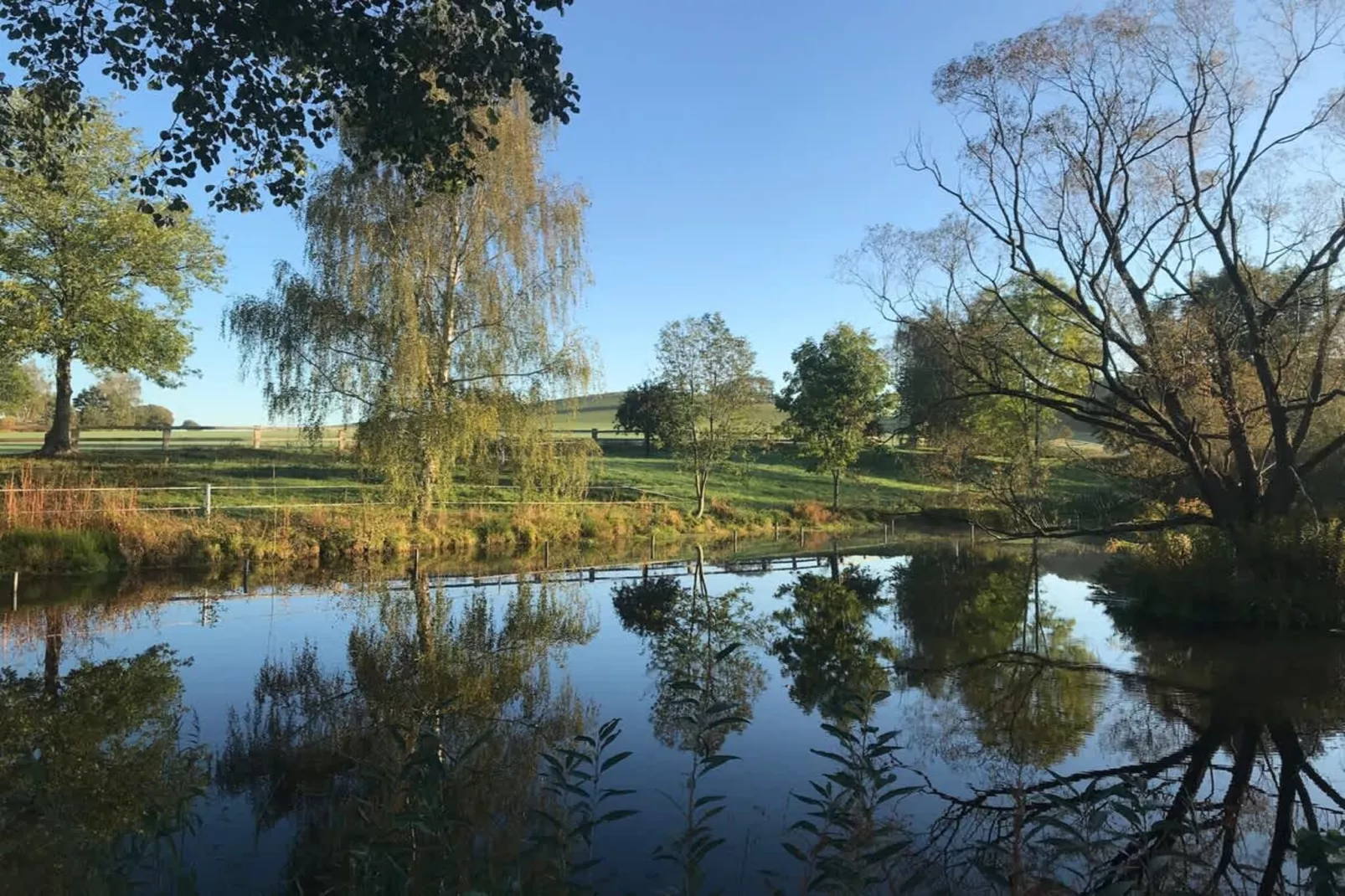 521 Galerie-Niet-getagd