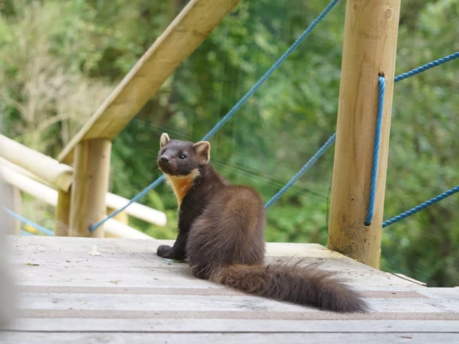 Cosagach Falls Cabin-Binnen