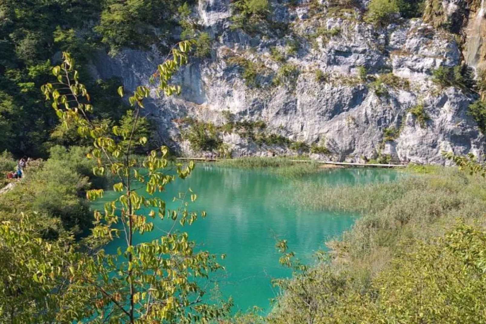 Holiday Apartment Vuković - Three Bedroom Holiday Home With Terrace-Uitzicht