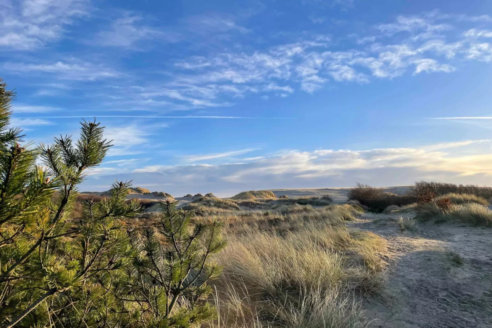 5 sterren vakantie huis in Ålbæk-Uitzicht