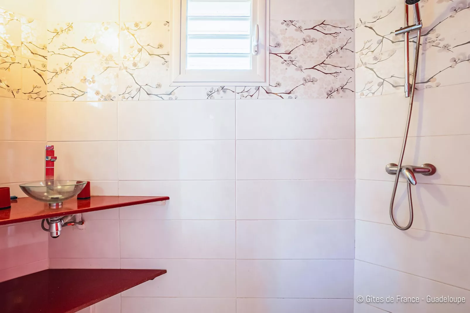 Complexe entier-Résidence-Villa-Salle de Bain amenagée-Vue mer-Badkamer