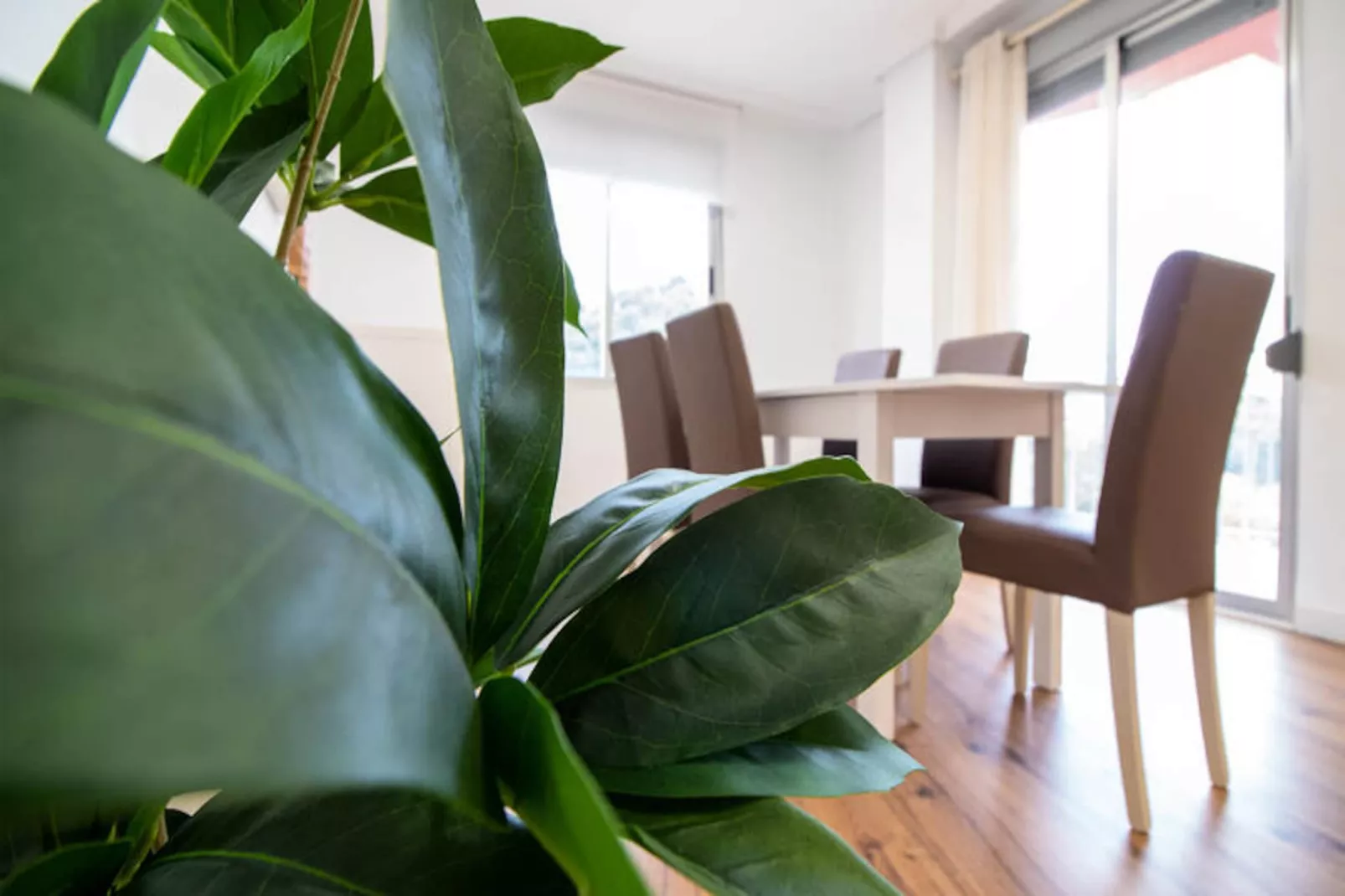 Appartements à Puerto de Sagunto-Niet-getagd