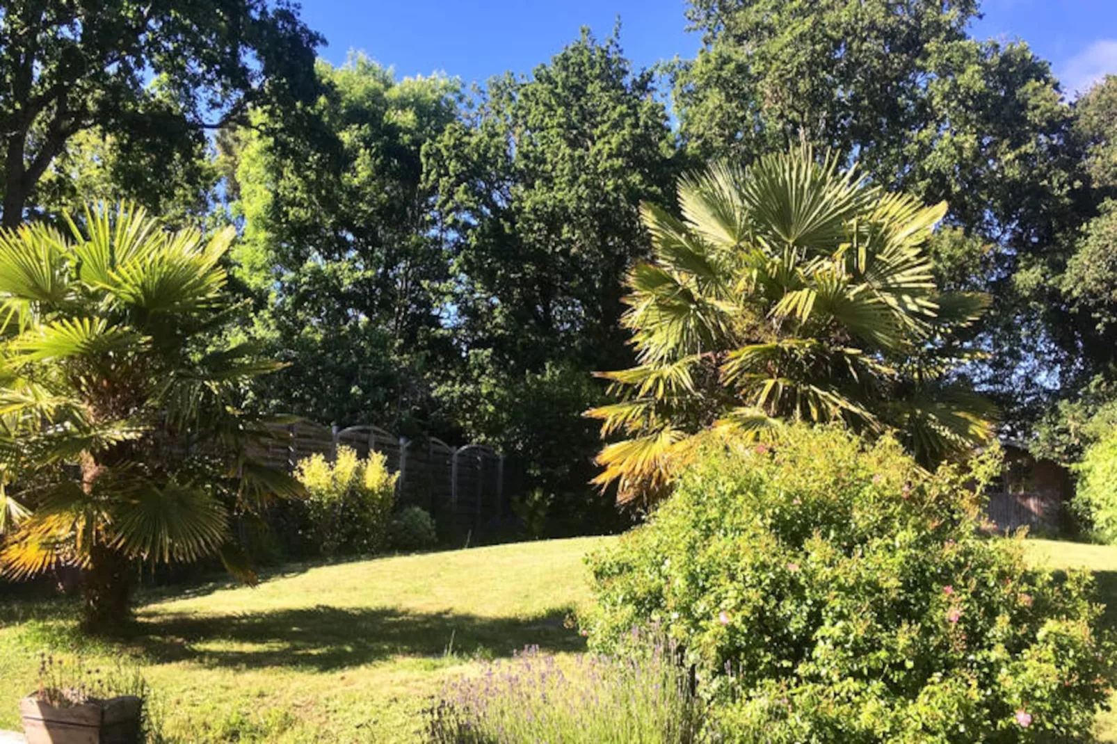 Maison à Sarzeau-Niet-getagd