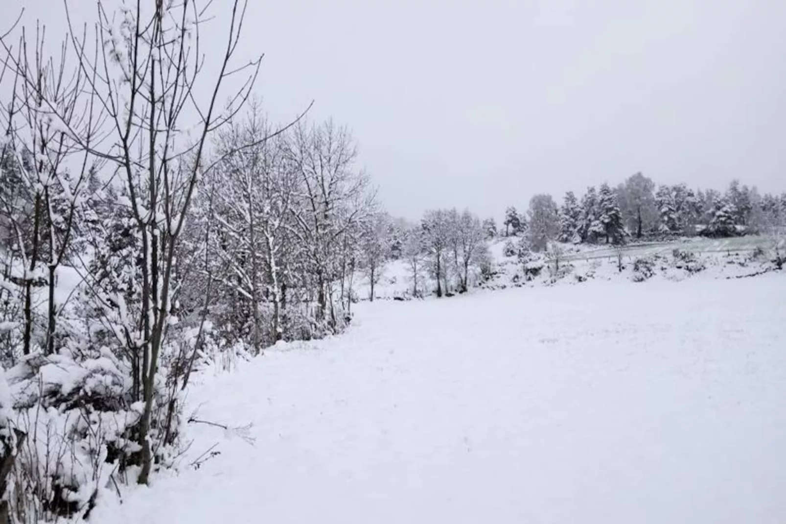 Gîte de France La grange d'elie 3 épis-Niet-getagd