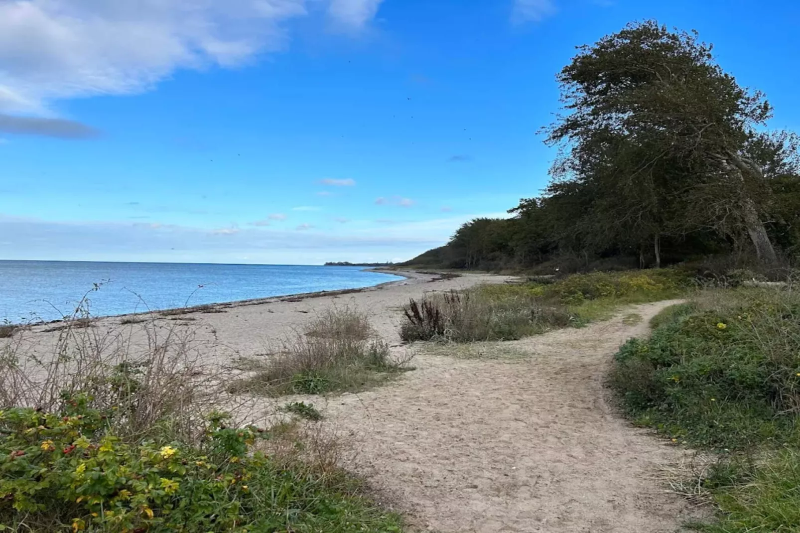 5 persoons vakantie huis in Tranekær-By Traum-Waterzicht