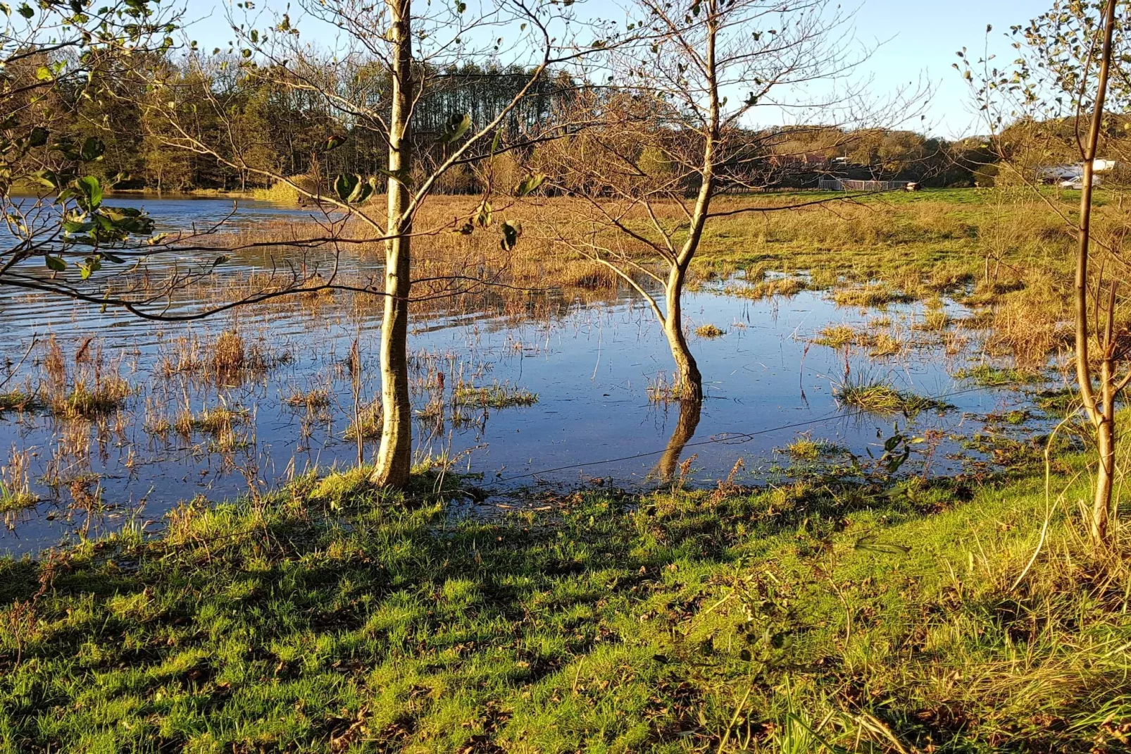4 persoons vakantie huis in Haderslev-By Traum-Waterzicht