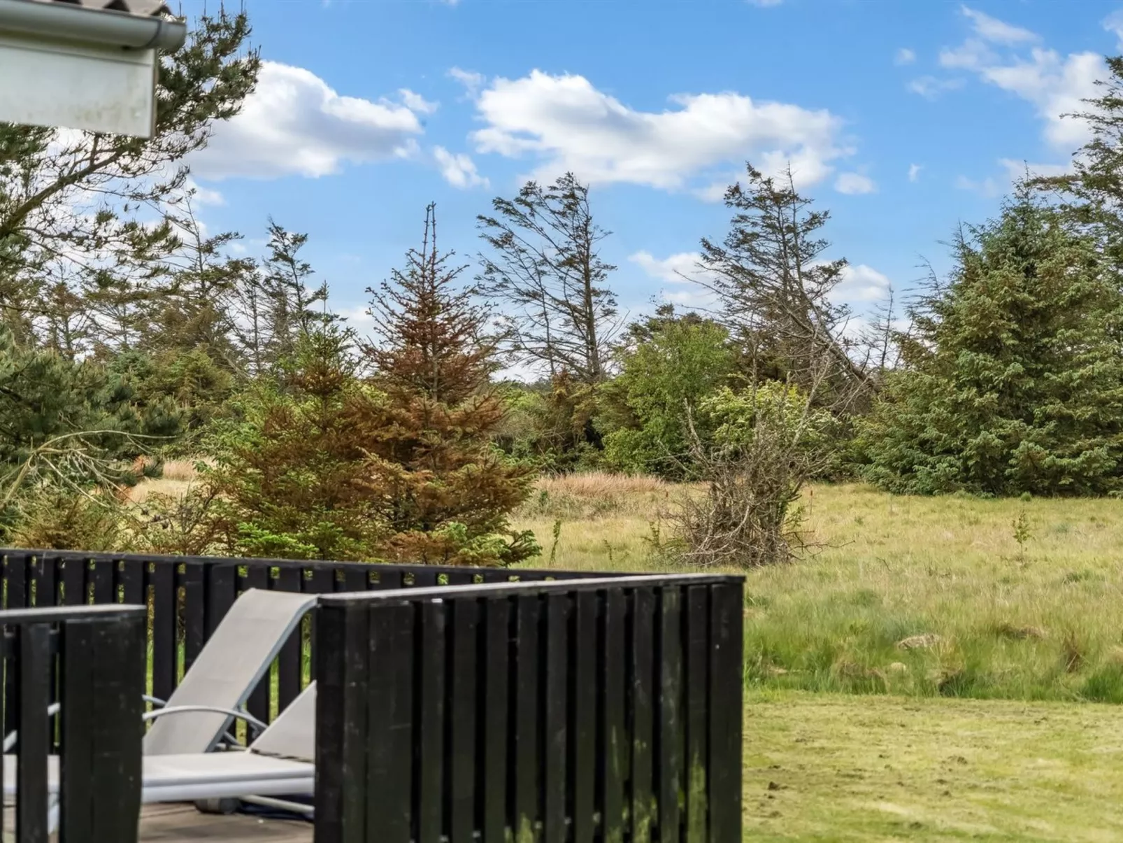 "Aja" - 900m from the sea-Buiten