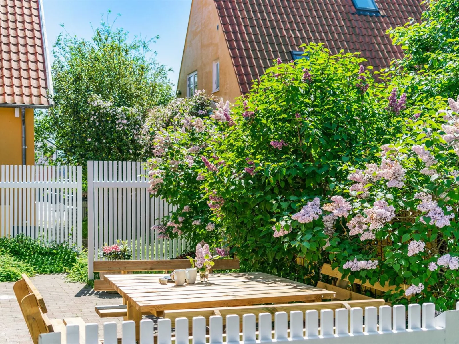 "Elnara" - 900m from the sea-Buiten