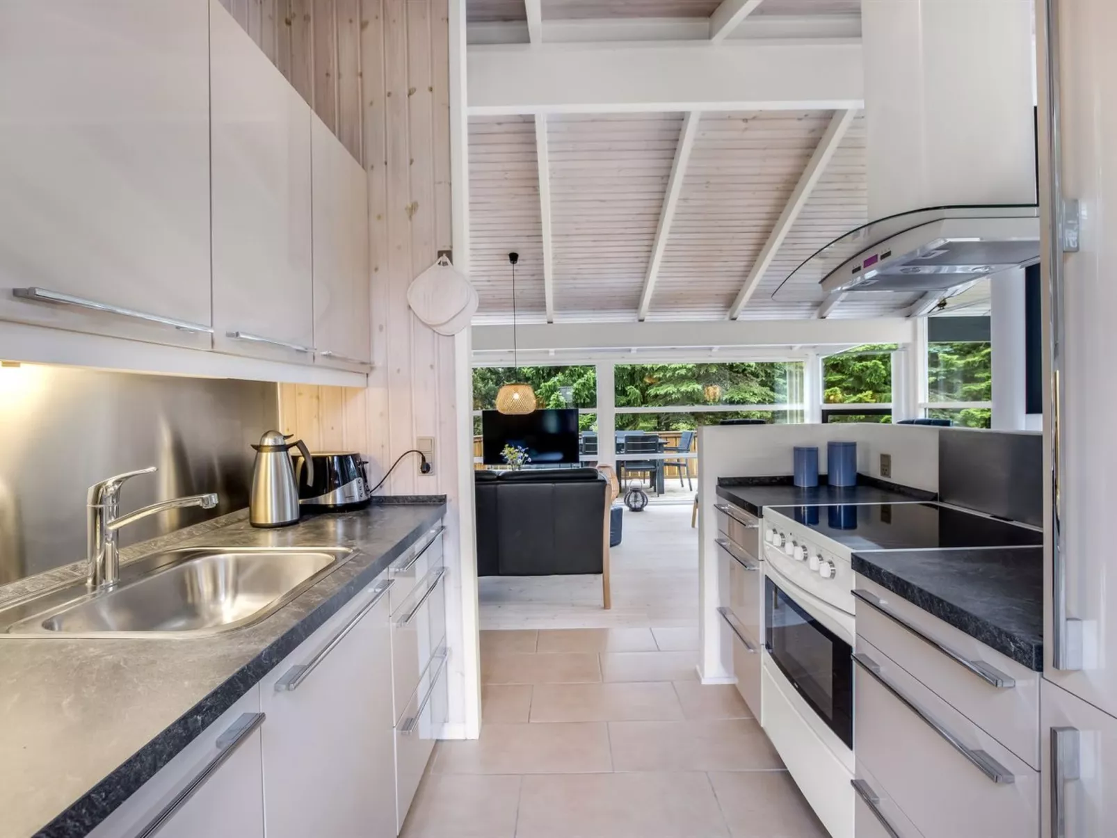 "Ingwin" -  from the sea-Binnen