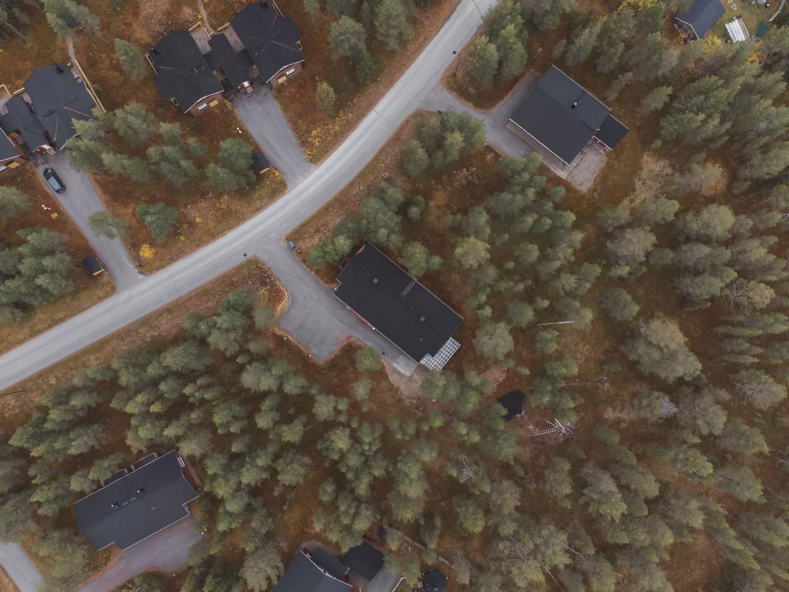 Kevätruska b-Binnen